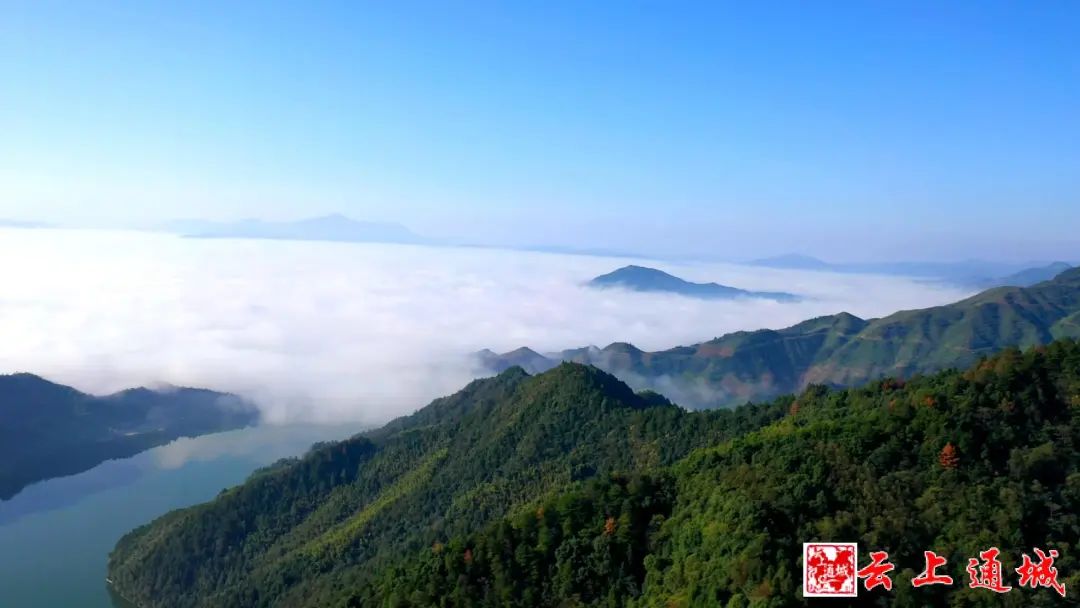 喜訊！咸寧多了一個“中國天然氧吧”